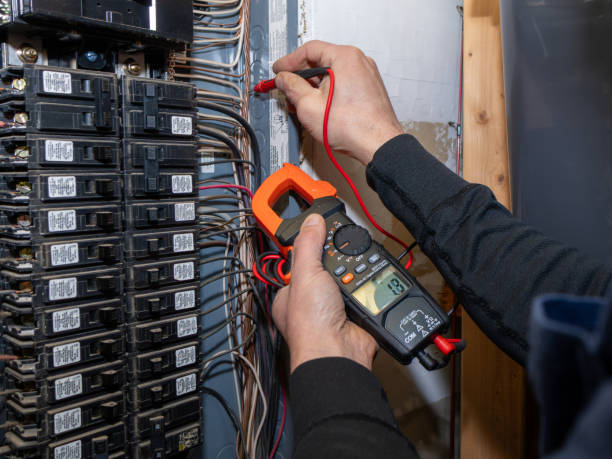 Best Electric Panel Repair  in Ormond Beach, FL